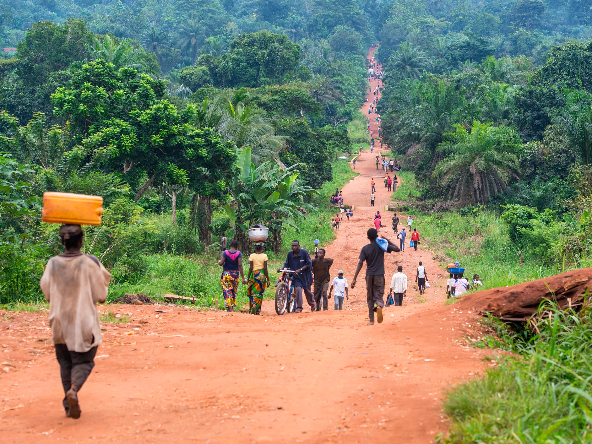 An unpaved road in the Democratic Republic of the Congo - one of the countries where biodiversity is threatened