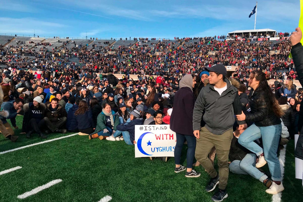 HarvardYale football game grinds to halt as hundreds of students storm