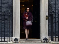 Theresa Villiers sacked from Boris Johnson's cabinet