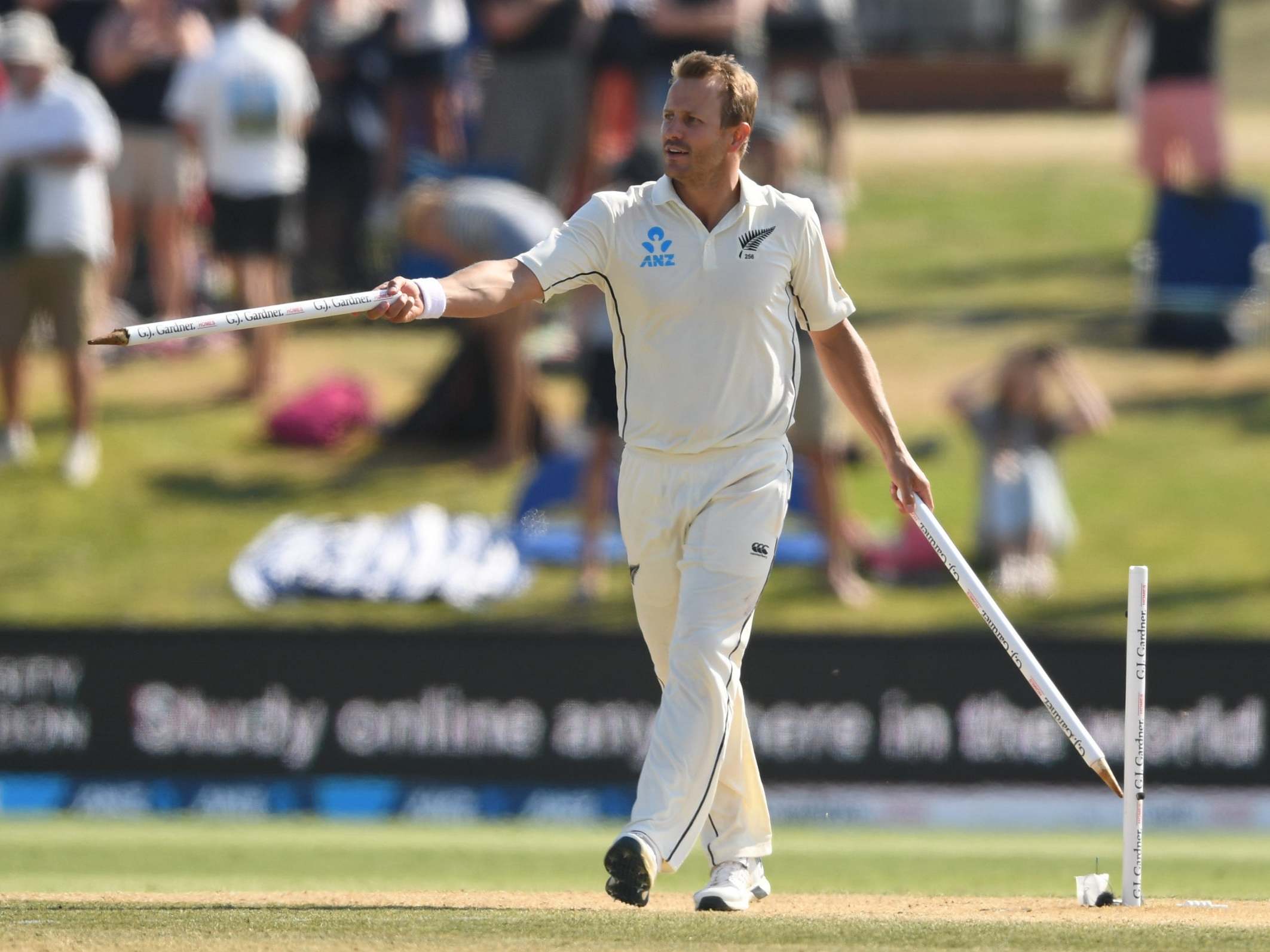 Neil Wagner celebrates the Black Caps’ victory