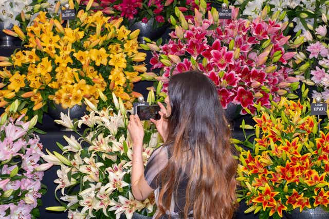2020's Chelsea Flower Show will promote an environmentally sustainable future