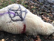 Sheep stabbed to death in latest ‘occult’ killing in New Forest