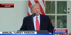 Trump expected to issue a pardon before Thanksgiving – to a turkey