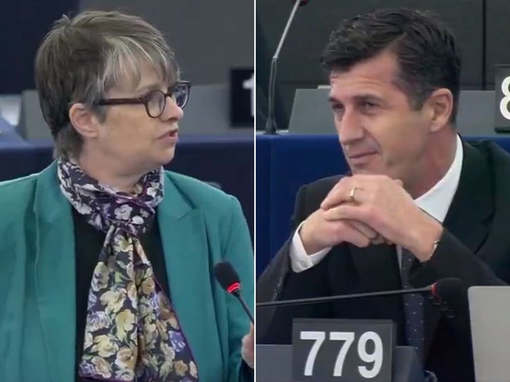 Brexit Party MEP shut down after questioning economic credentials of Green Party MEP, who informs him she is a professor of economics