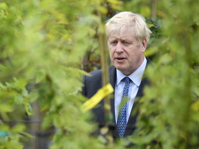 Boris Johnson's party was criticised by Greenpeace for its support of fossil fuel industries and for failing to take a 'cross-economy transformational approach'