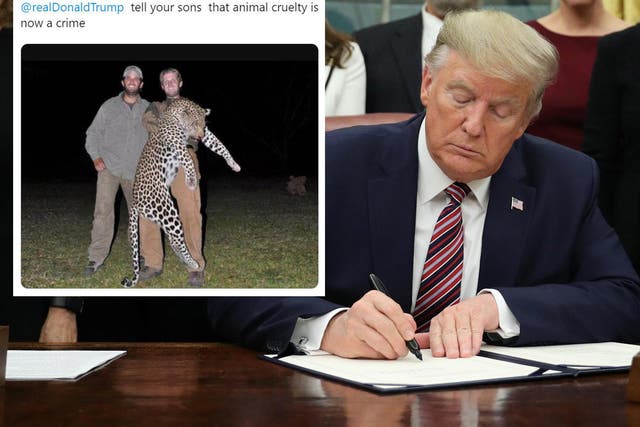 After Donald Trump signed a law that makes animal cruelty a felony, Mia Farrow reminded the president about his son's big game hunts abroad.