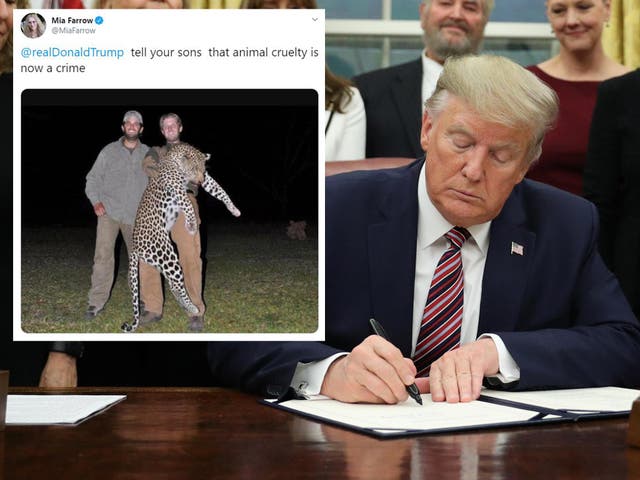 After Donald Trump signed a law that makes animal cruelty a felony, Mia Farrow reminded the president about his son's big game hunts abroad.