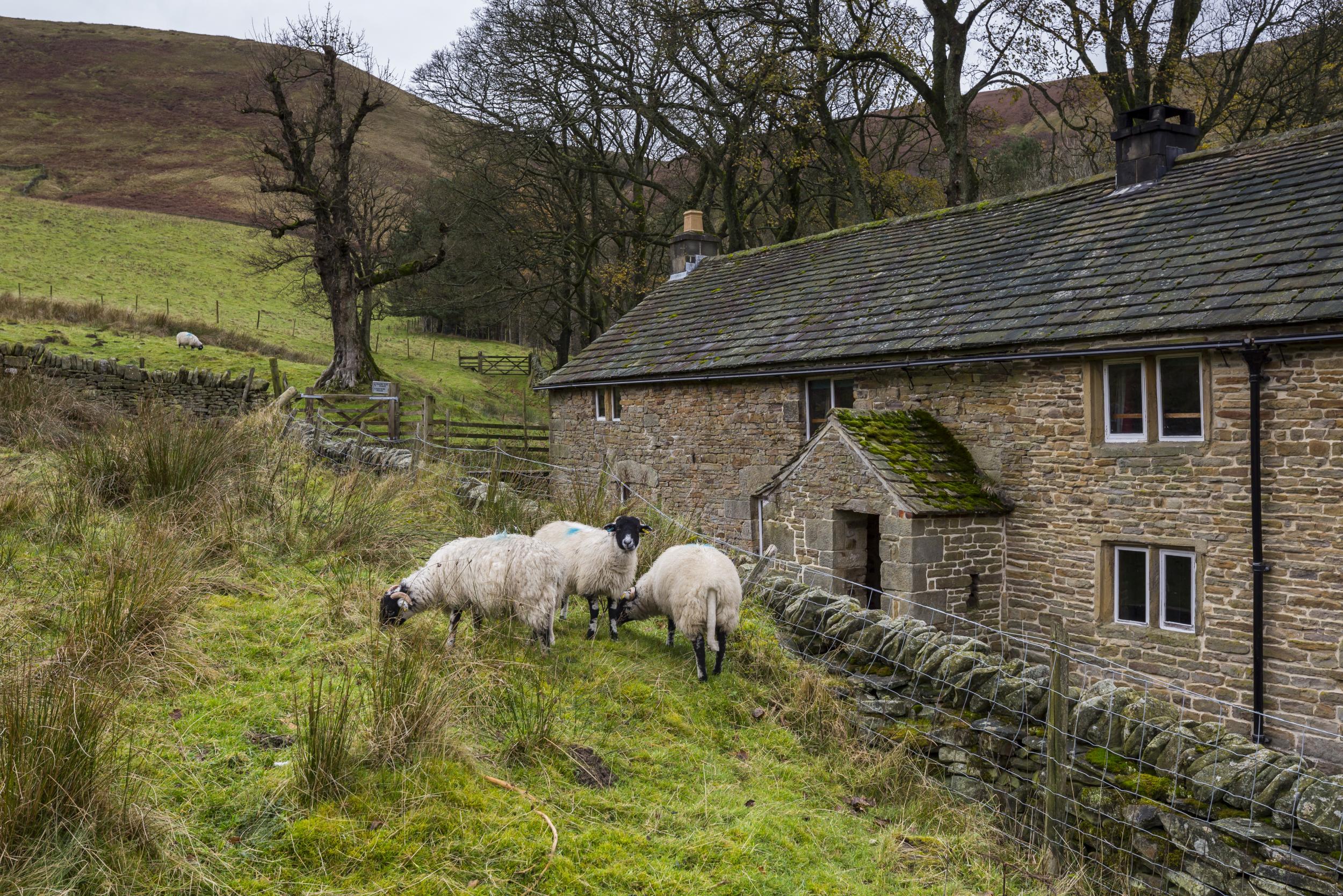 Dalehead Bunkhouse is great for large groups