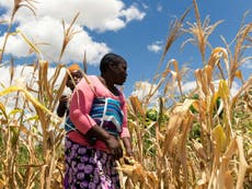 Zimbabwe on brink of ‘man-made starvation’, UN says