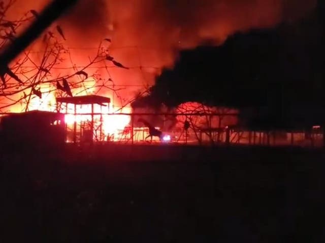 Still image showing giraffes running from a fire at the African Safari Wildlife Park in Port Clinton, Ohio, 28 November, 2019.