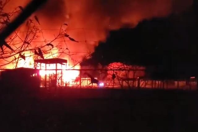 Still image showing giraffes running from a fire at the African Safari Wildlife Park in Port Clinton, Ohio, 28 November, 2019.