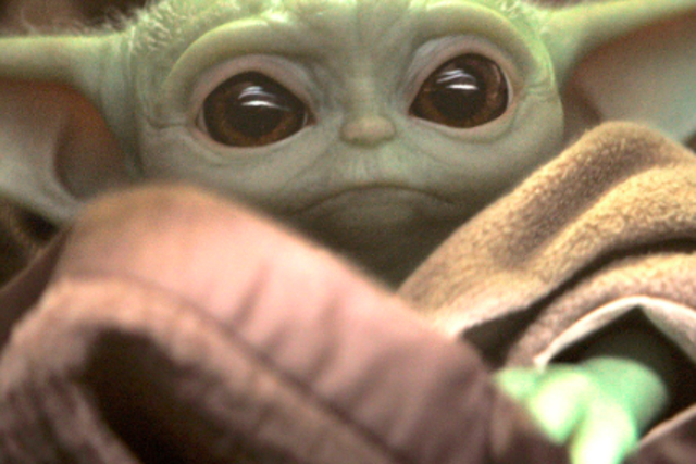 The moment ‘Baby Yoda’ debuted on the new Disney Plus series ‘The Mandalorian’, a thousand internet memes bloomed in its wake