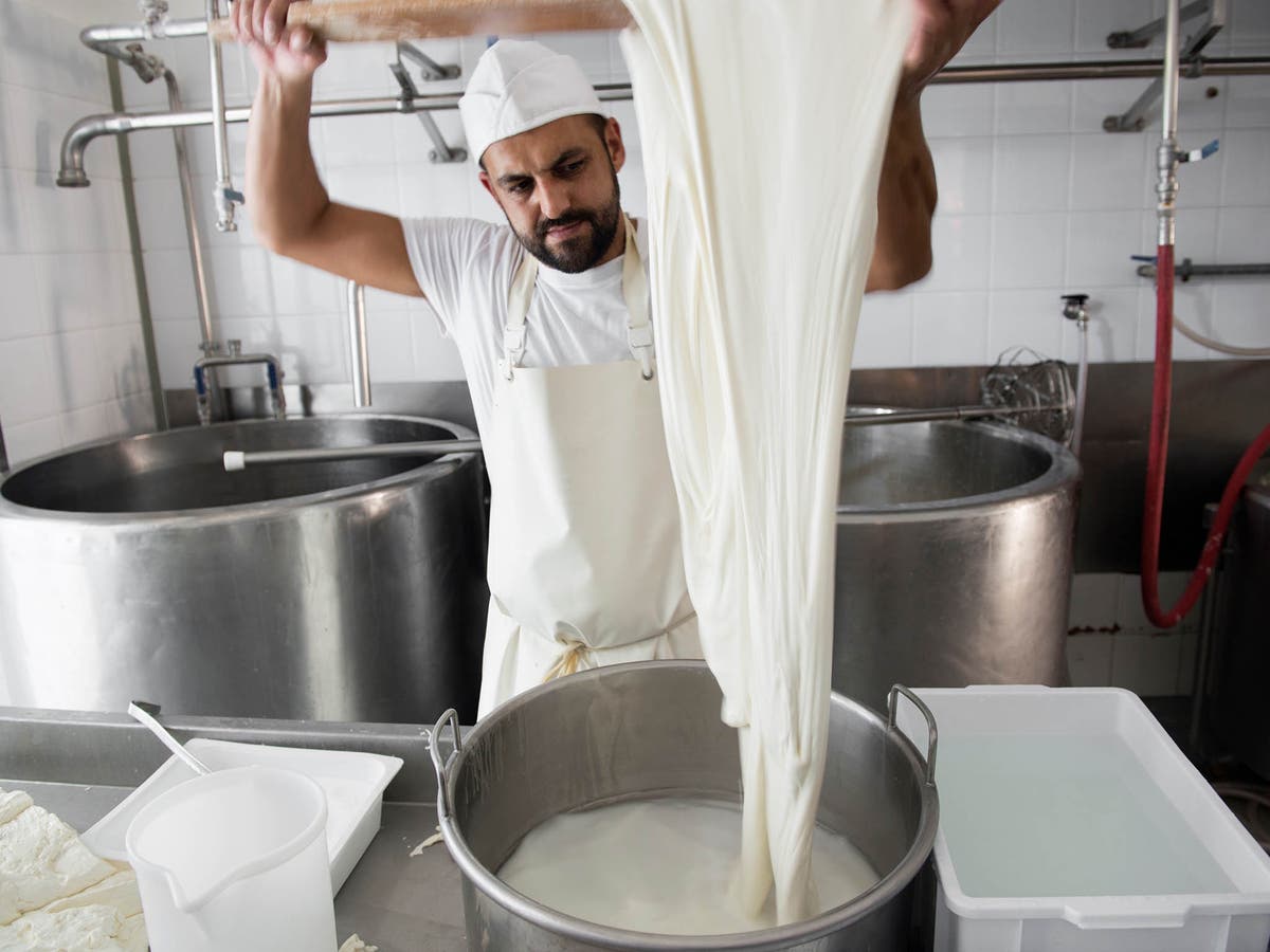 The Italian cheesemakers moving to Britain to make mozzarella