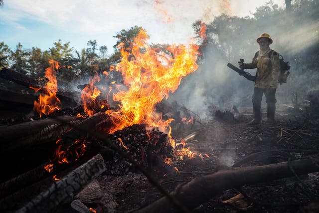 Prevfogo firefighters, an Ibama forest brigade formed by indigenous people of the Tenhari ethnic group, participate in fire fighting efforts in the Brazilian amazon