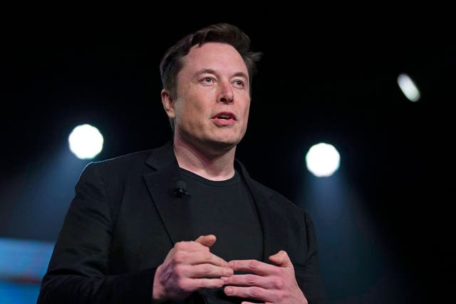 Tesla founder Elon Musk has been a vocal critic of short sellers 