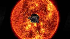 Nasa announces first results from spacecraft sent to 'touch the sun'