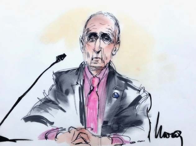 Courtroom sketch shows British cave diver Vernon Unsworth during the defamation trial