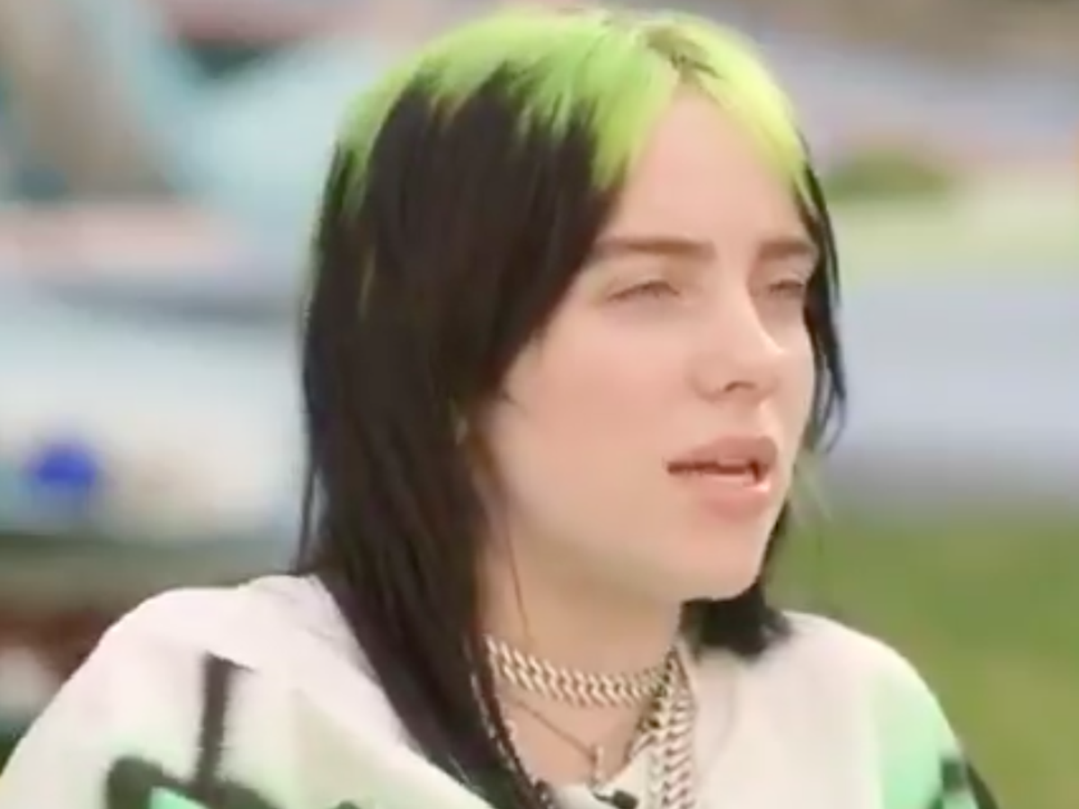 Billie Eilish ‘cancelled By Lady Gaga Fans Over Opinion On Singers