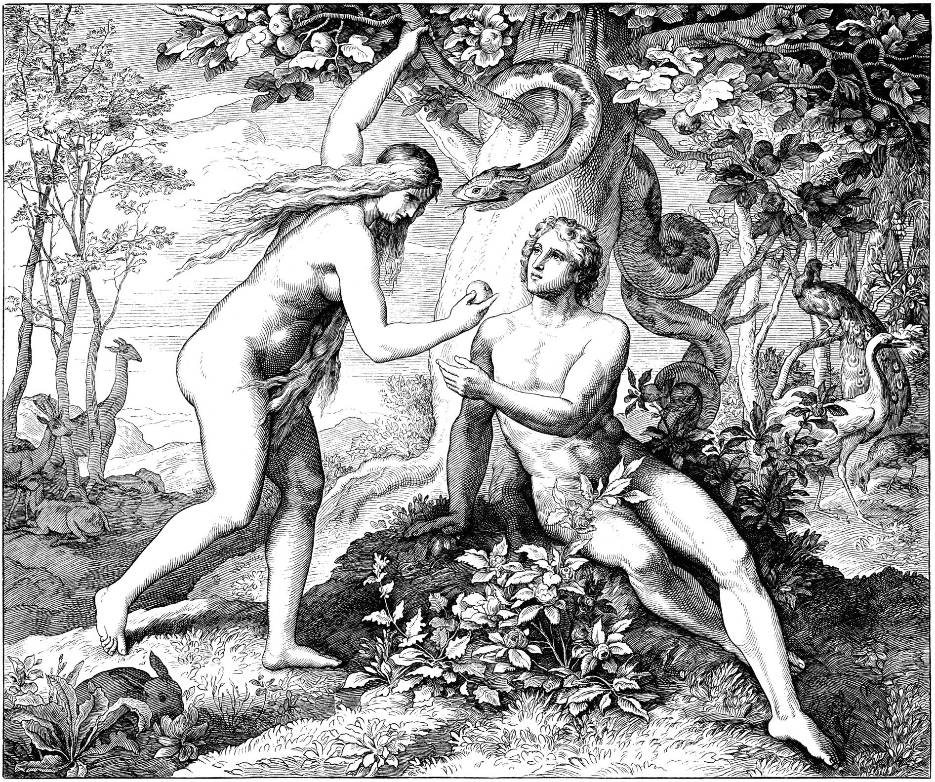 In the garden of Eden, God creates animals but only man can name them (Getty)
