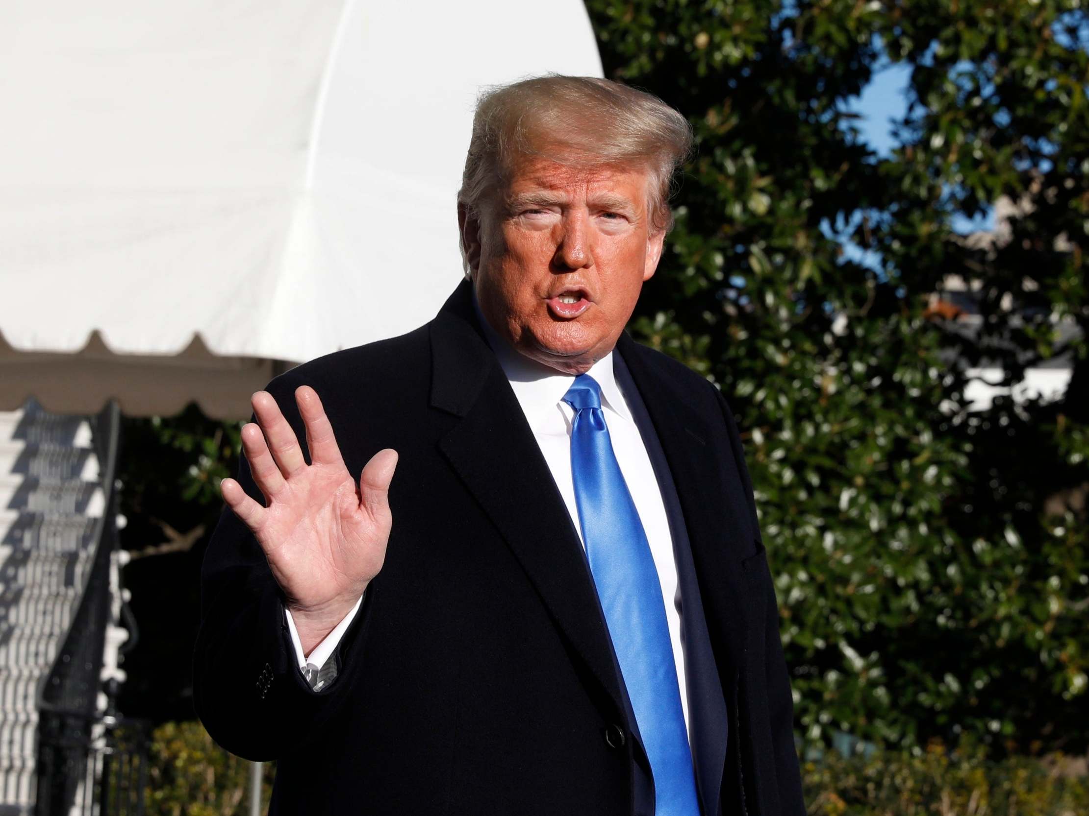 Trump impeachment: More than 600 law academics conclude there is &apos;overwhelming evidence&apos; for president&apos;s removal