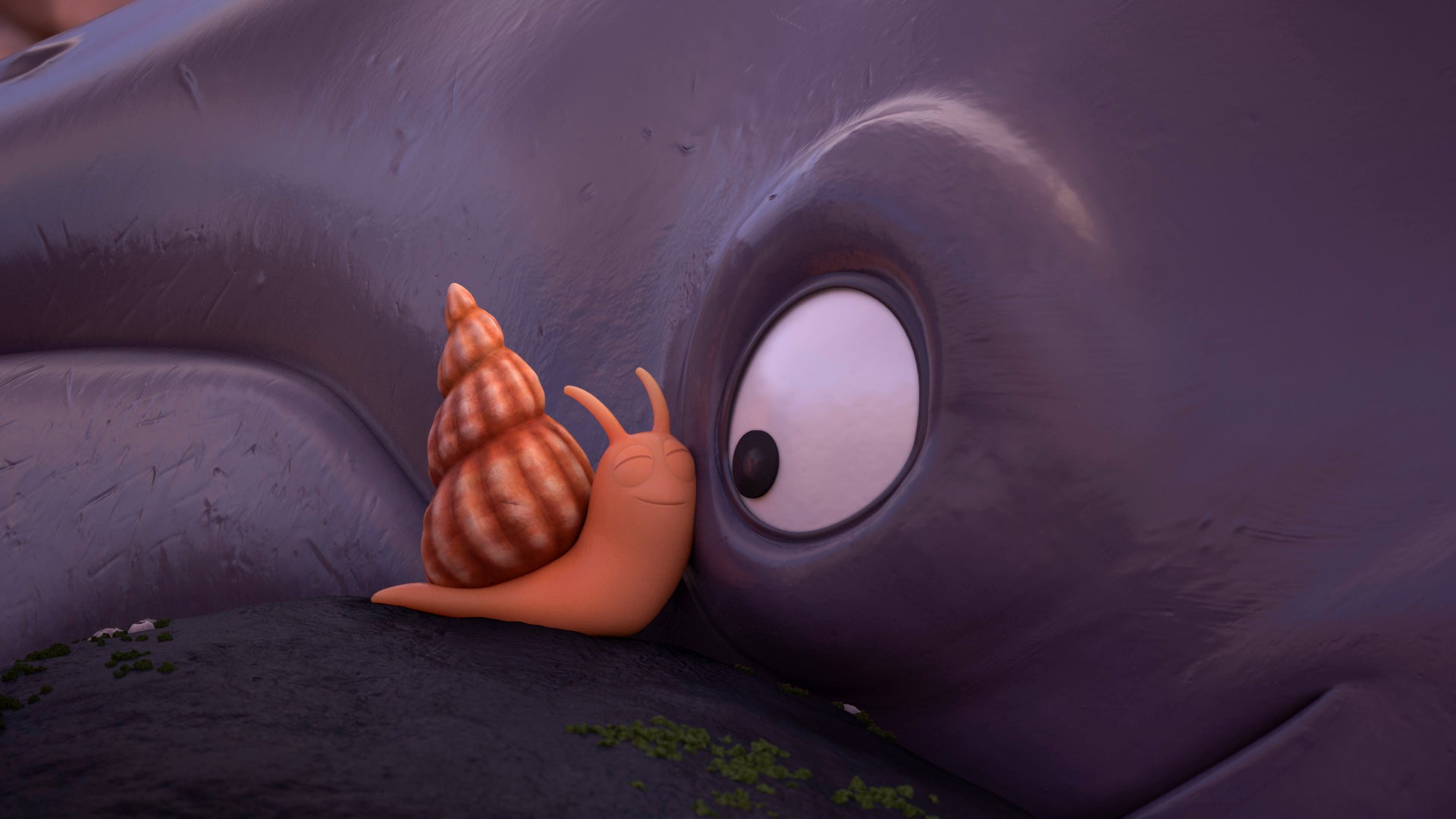 https://static.independent.co.uk/s3fs-public/thumbnails/image/2019/12/09/11/19435899-high-res-the-snail-and-the-whale.jpg