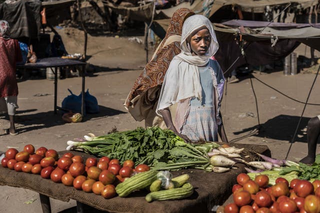 A young emaciated girl sells vegetables at a market outside of Zamzam displaced camp in north Darfur