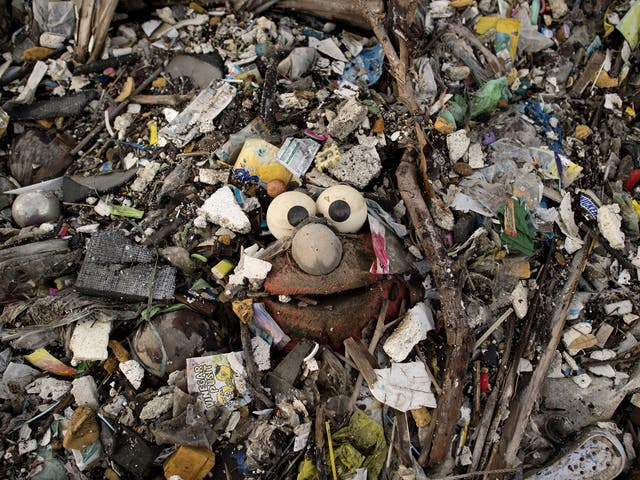 Plastic waste on a beach on the Freedom Island critical habitat and ecotourism area near Manila, Philippines
