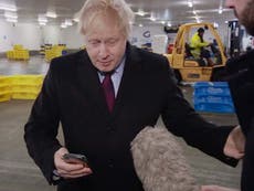 Johnson’s apology over boy on floor ‘unforced’, minister claims