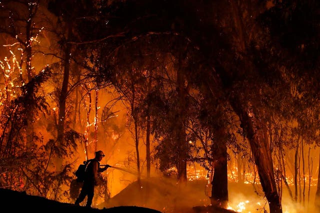 A firefighter battles a wildfire known as the Maria Fire in Somis, California in October
