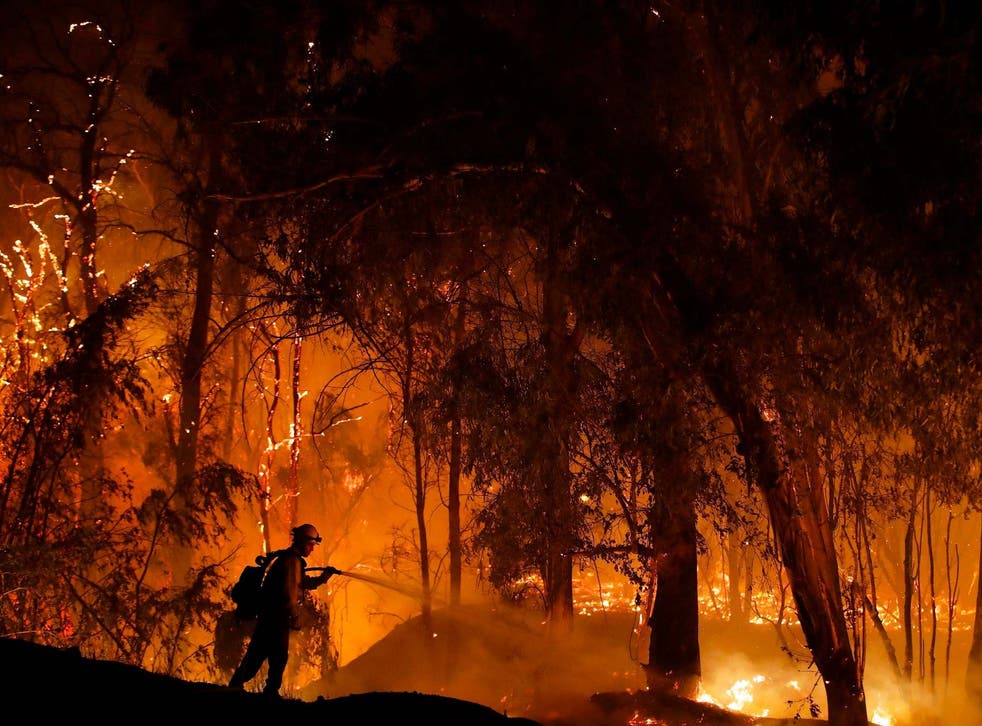 A firefighter battles a wildfire known as the Maria Fire in Somis, California in October