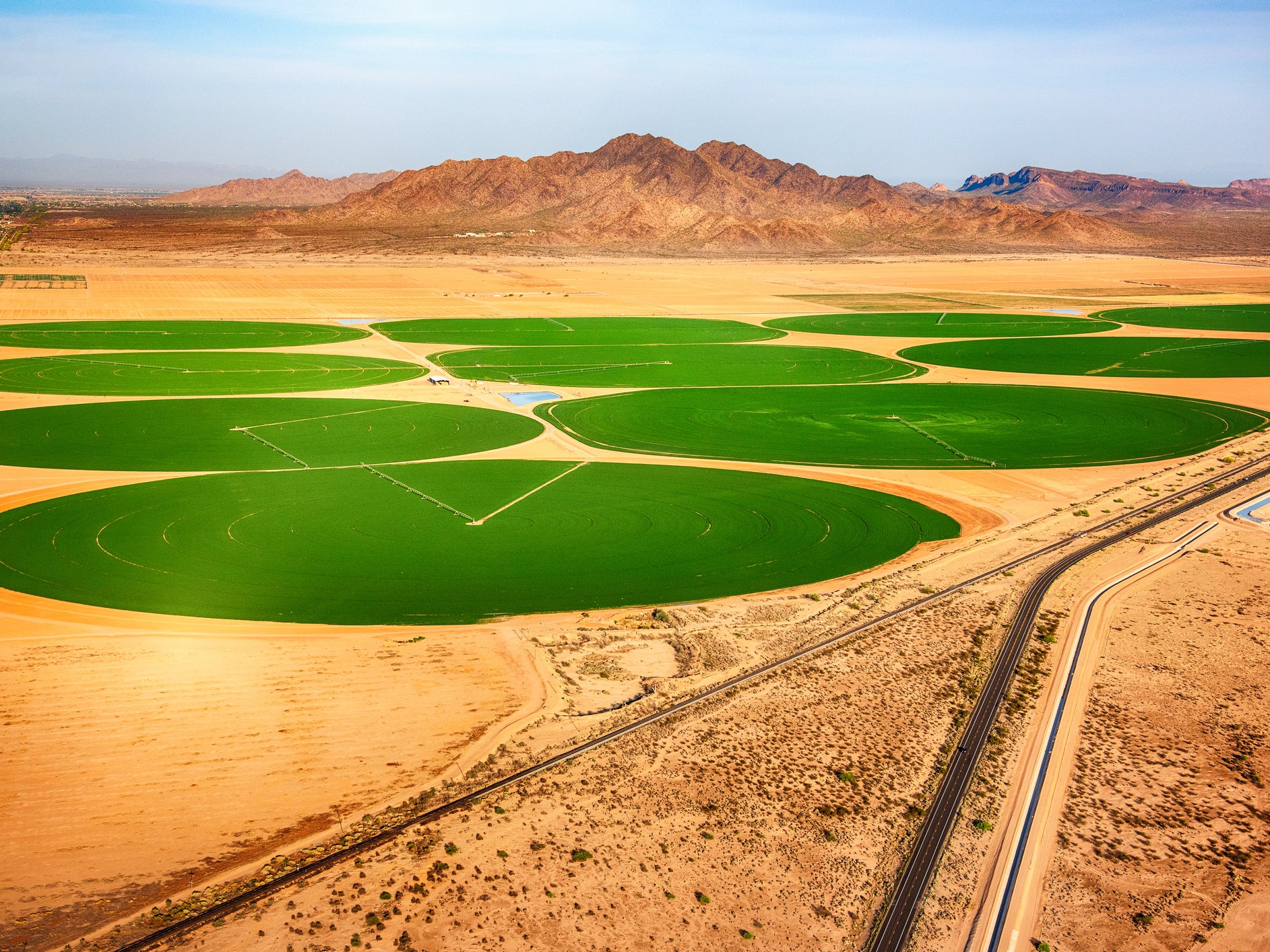 Crops grow in circular fields in desert in Arizona near Phoenix