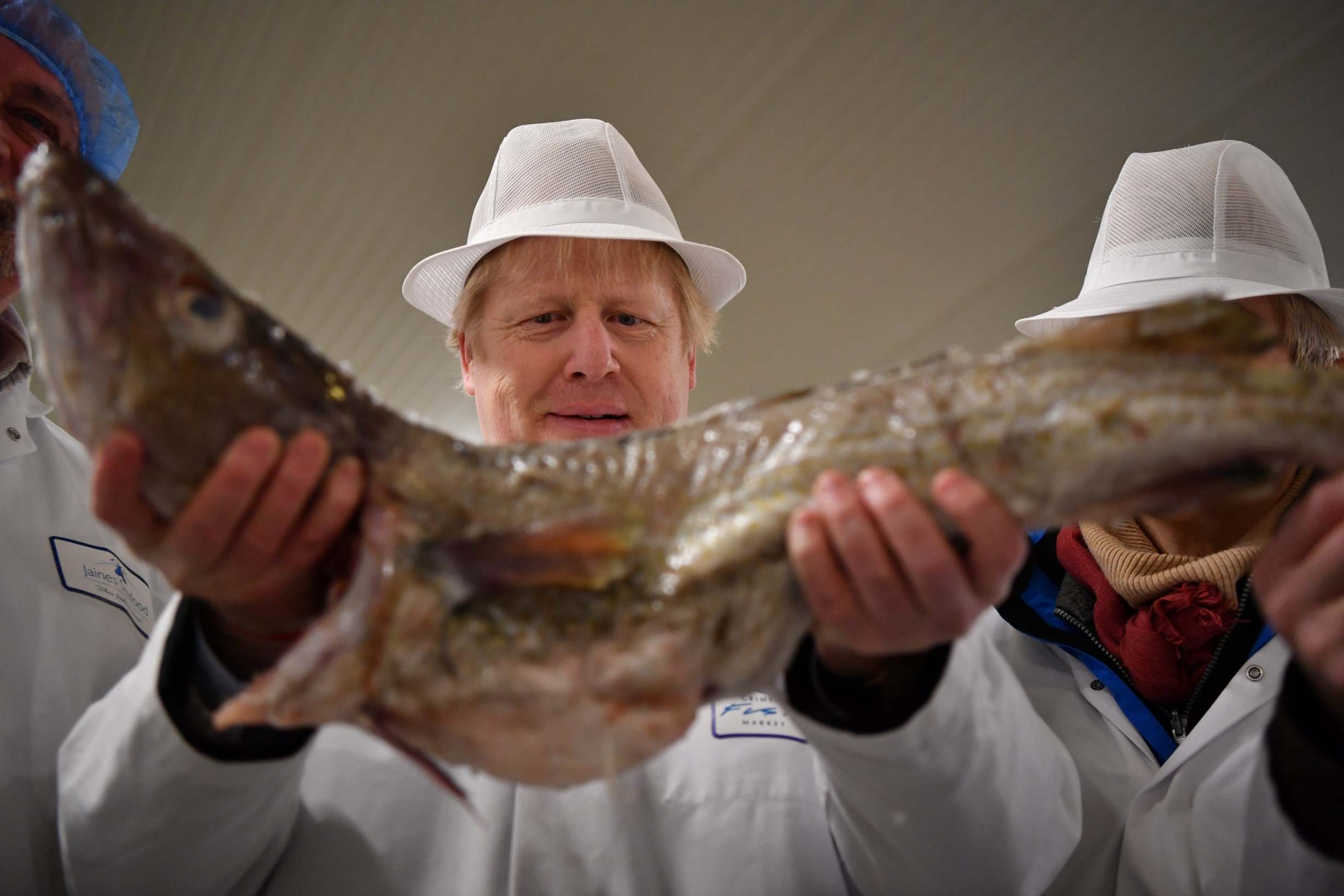 ‘Didn’t they spend all of 2019 negotiating about fish before finally, and dramatically sorting it all out?’
