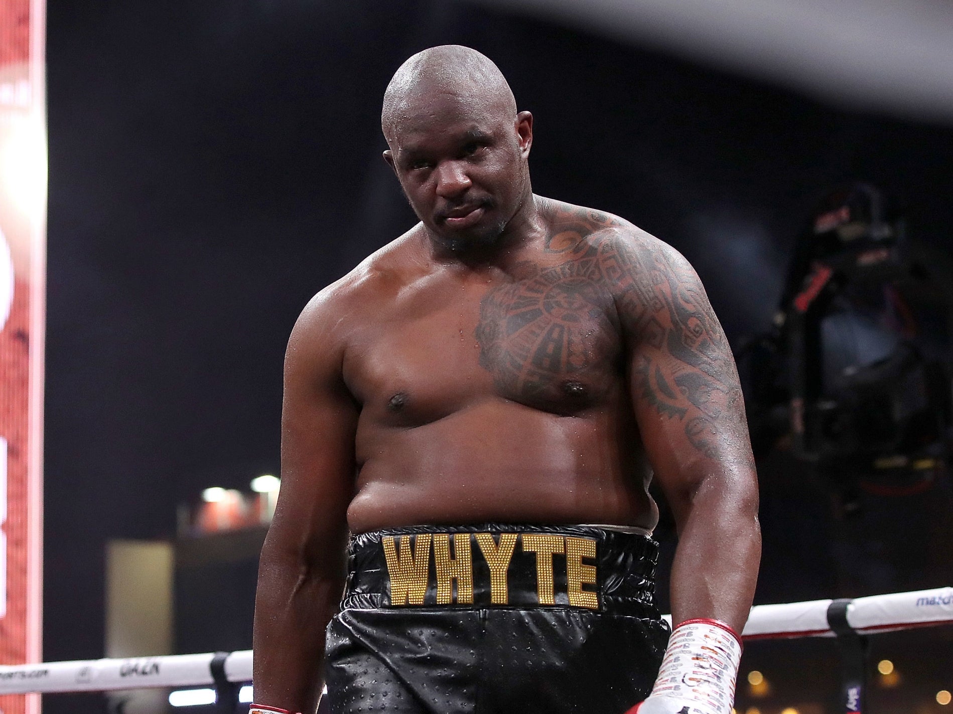 Dillian Whyte after beating Mariusz Wach in December
