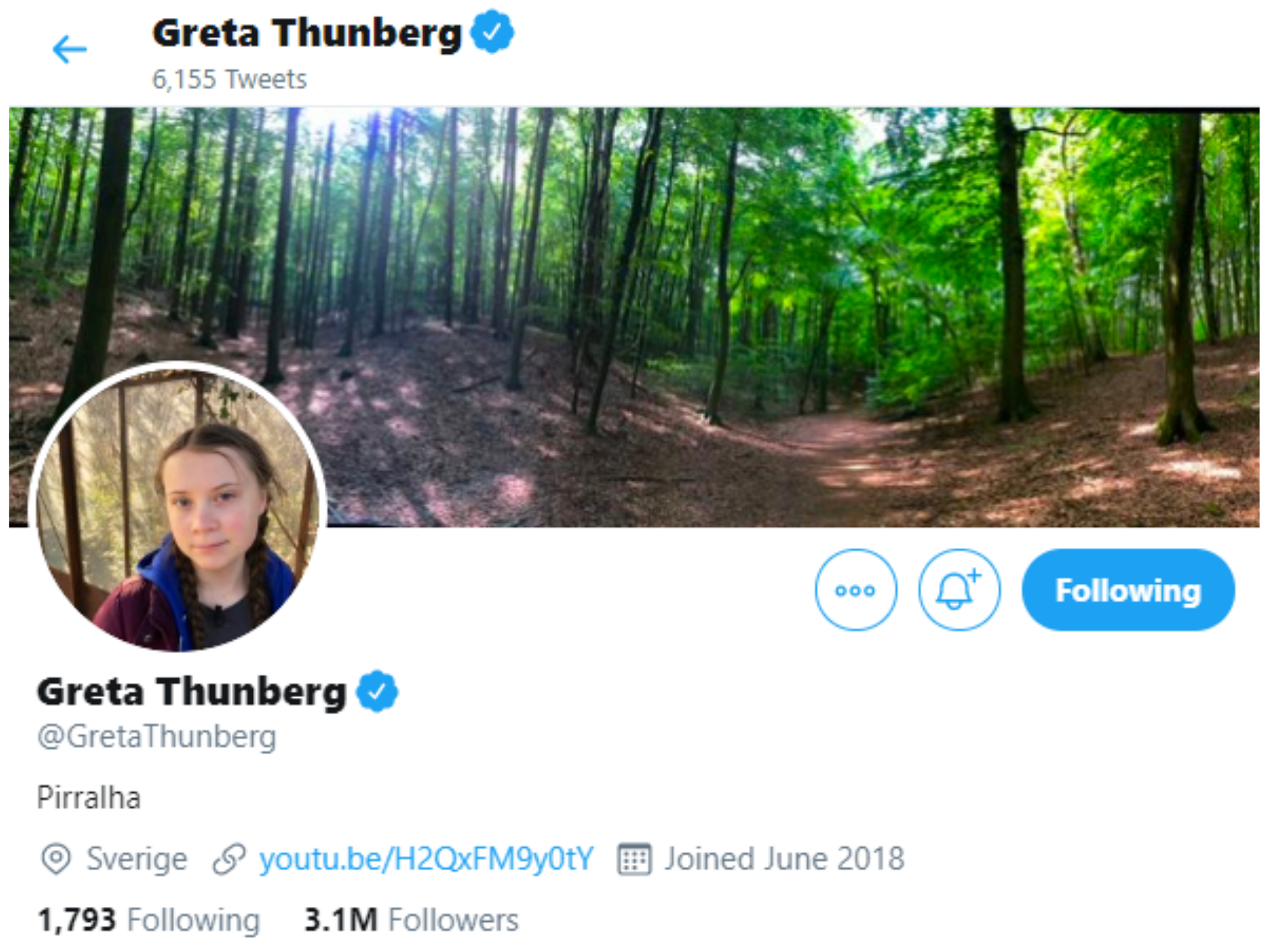 Greta Thunberg adopts Bolsonaro’s insult as badge of honour