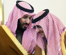 Saudi Arabia ‘arrests senior royal family members’