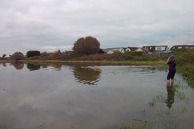 A site near Pagham, West Sussex, where developers want to build homes