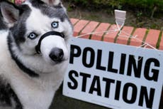 General Election 2019: The best photos of dogs at polling stations