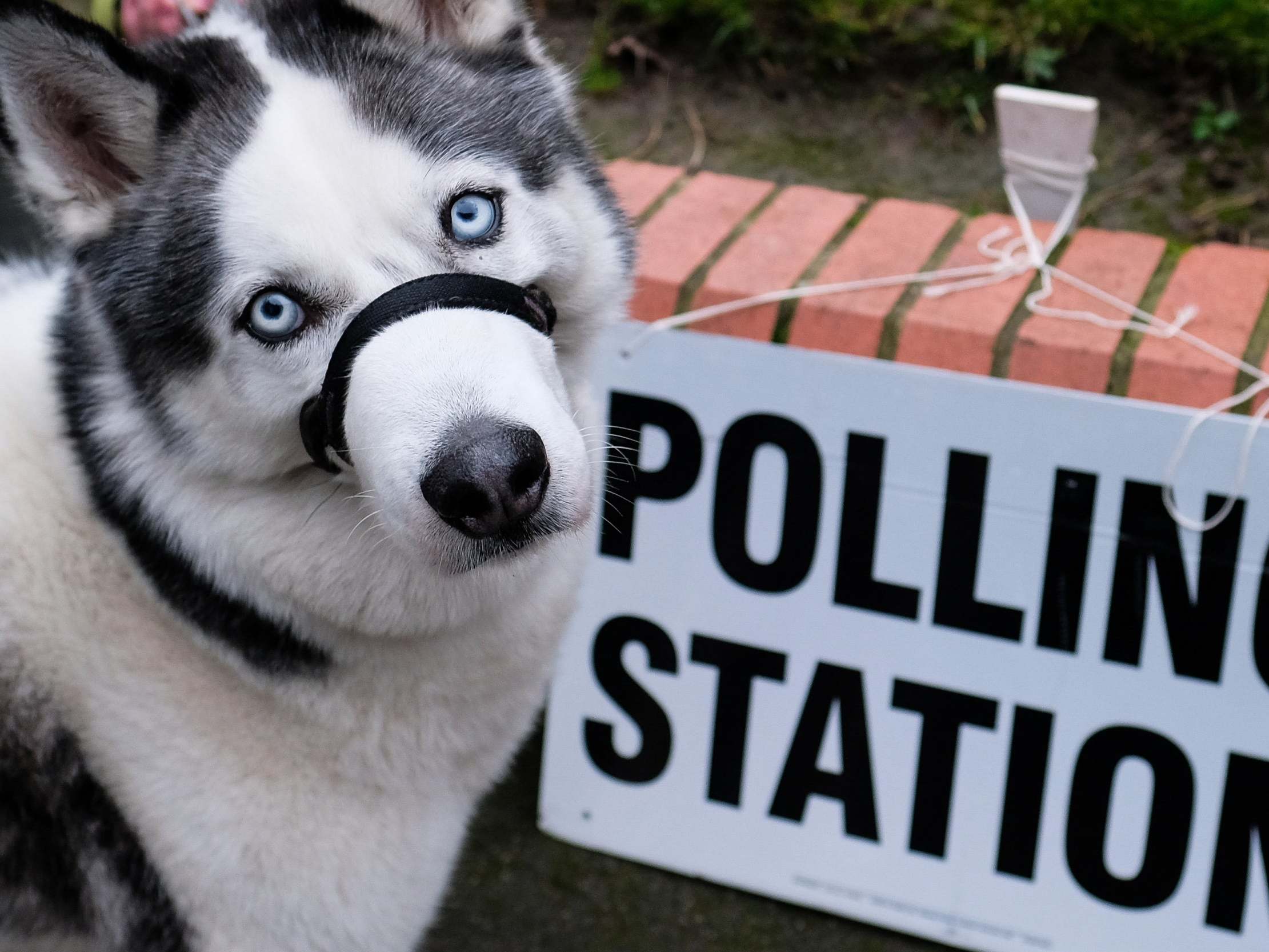How accurate is the exit poll?