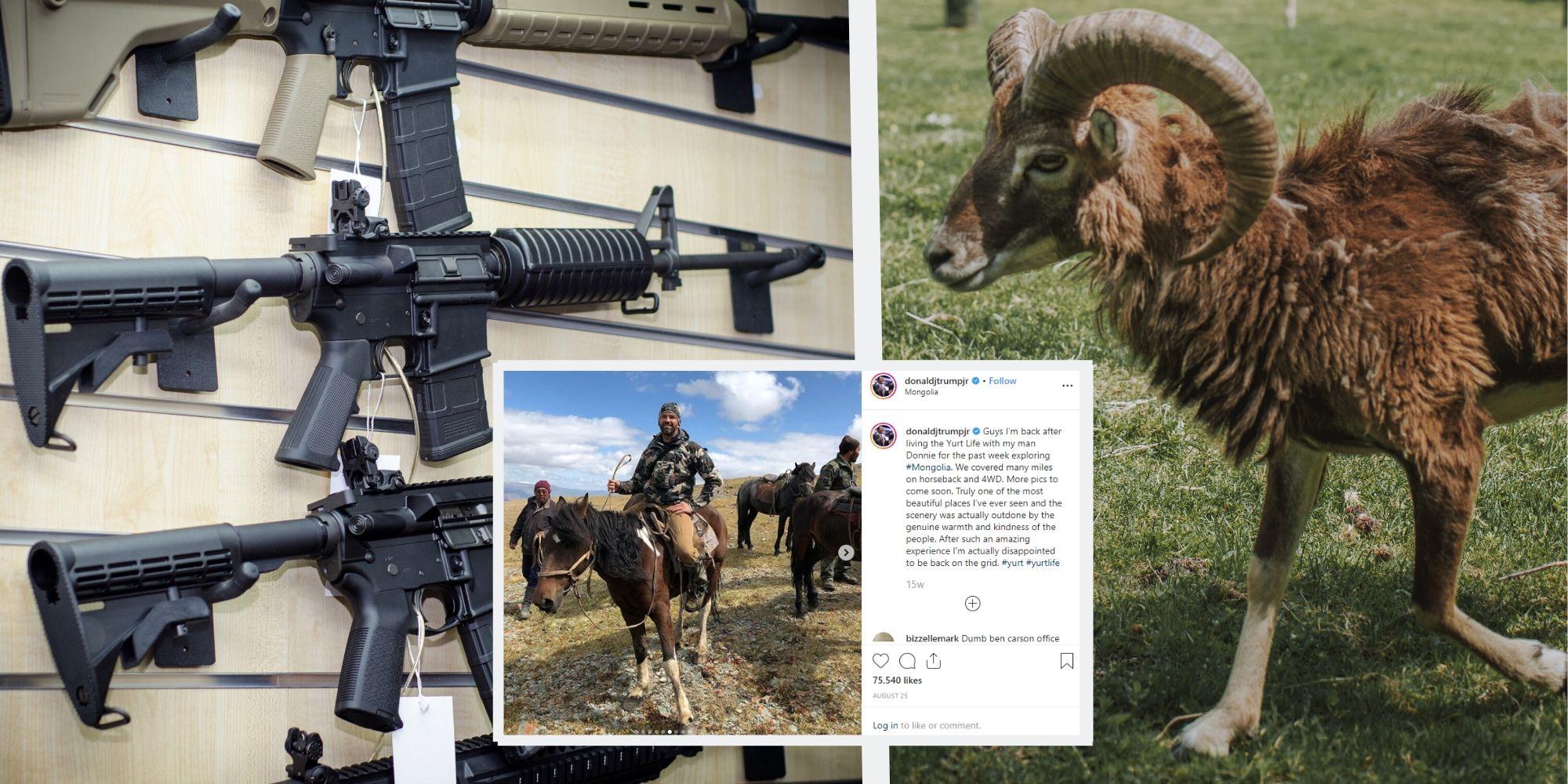 Trump Jr Shot Dead Endangered Mongolian Sheep After Being Given Special Permission Indy100