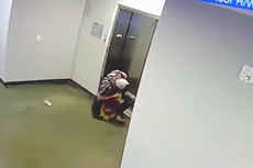 Video shows moment man rescues stuck dog from elevator