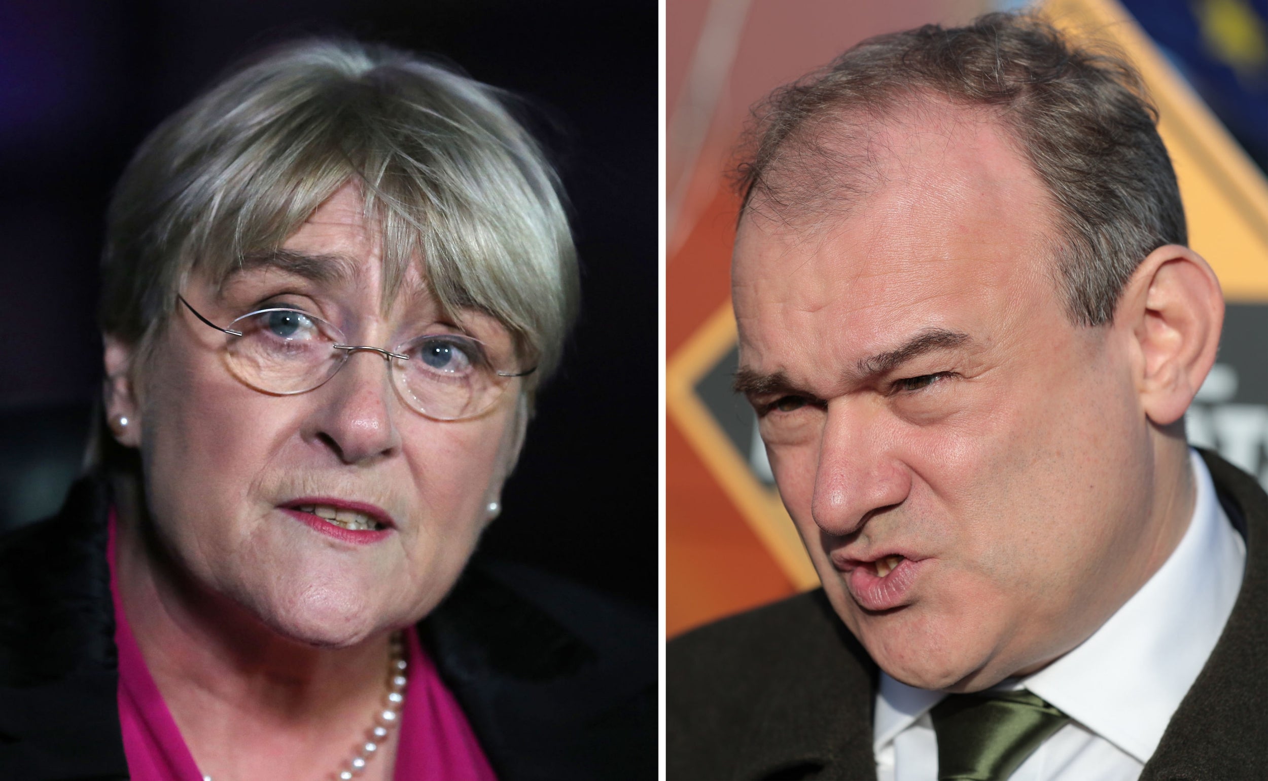 Sal Brinton and Ed Davey have taken on the co-leadership of the Liberal Democrats on an interim basis