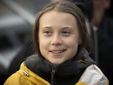 Greta Thunberg says she ‘needs a rest’ after year of climate activism