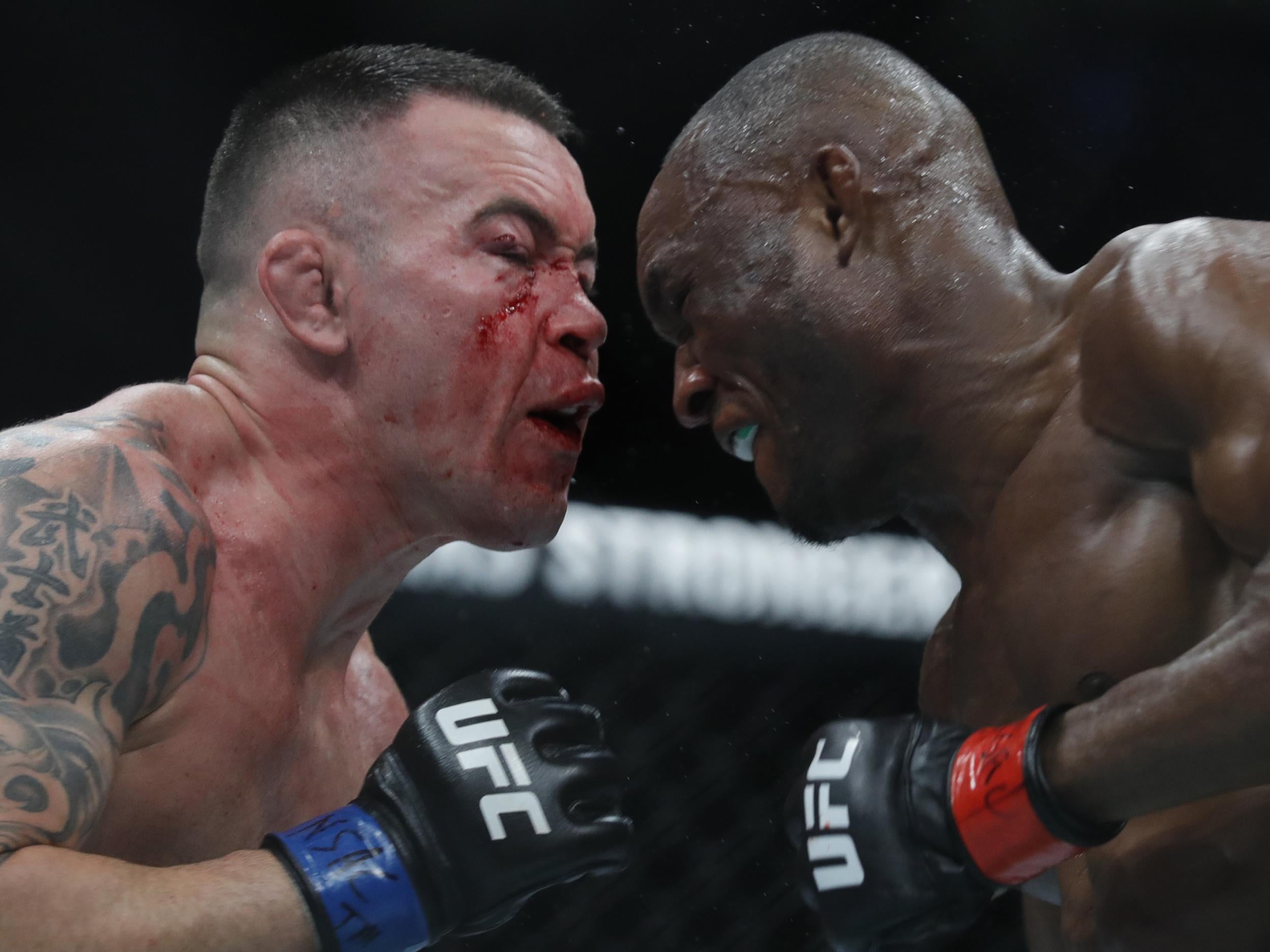 Ufc 248 live stream free reddit new arrivals