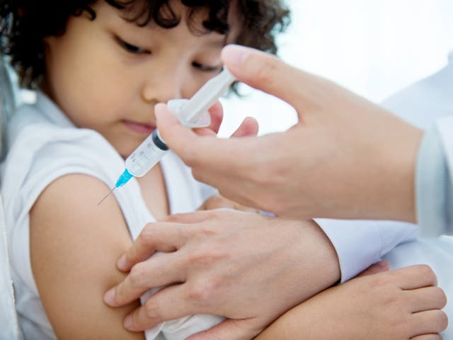 <p>Some schools have been forced to shut to prevent the spread of new flu strain</p>