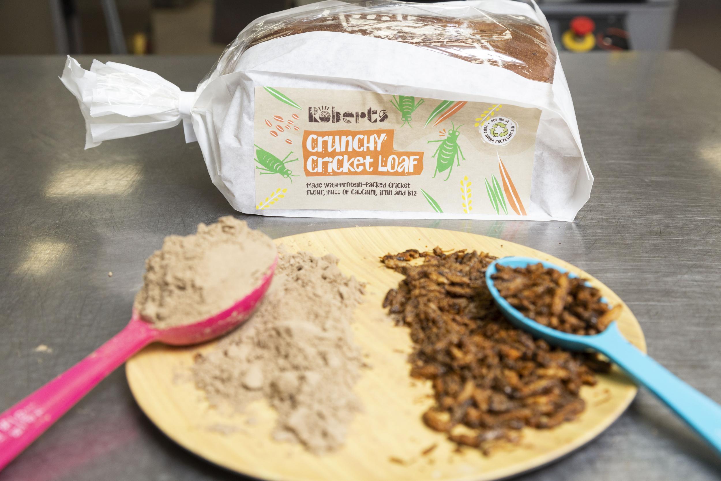 Each loaf of bread contains around 336 crickets (SWNS)