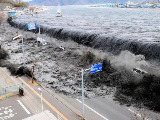 An 8.9 magnitude earthquake rocked Japn early in the decade