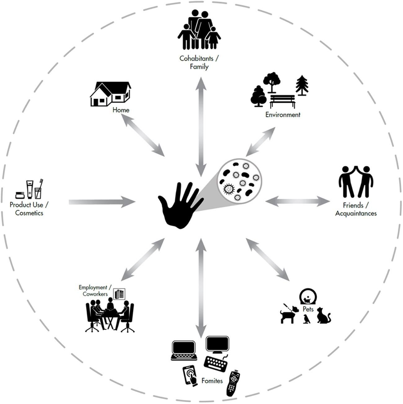 Our hand microbiome is made up of all the people and things we touch each day
