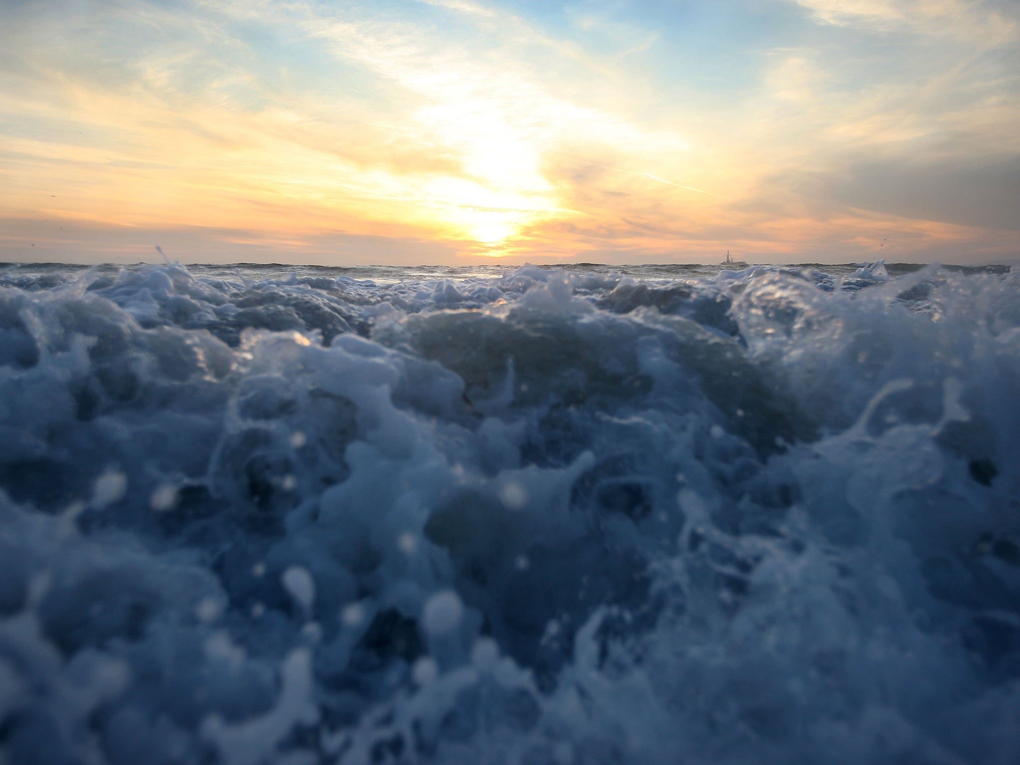 Seafood trade at risk as Californian coast acidifies much faster than rest of oceans