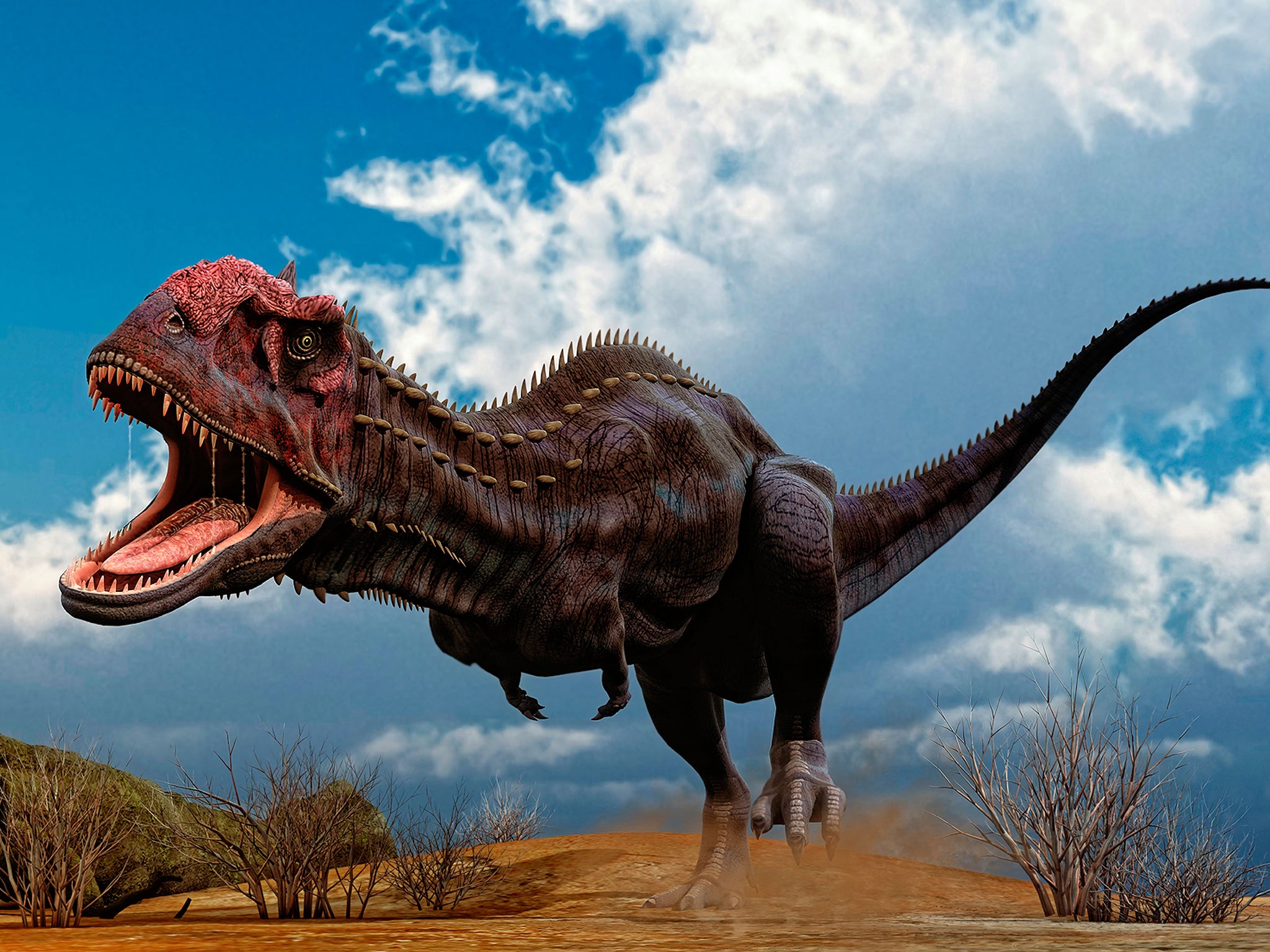 Опасные динозавры в мире. Майюнгазавр динозавр. Дино Кинг Майюнгазавр. Гигантозавр. Самый большой динозавр хищник Юрского периода.