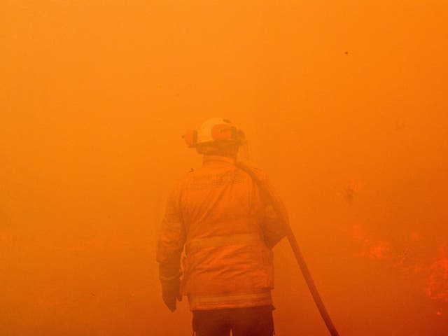 A firefighter conducts back-burning measures to secure residential areas from encroaching bushfires in the Central Coast